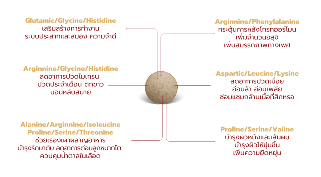 กรดอะมิโนในไมโครวี