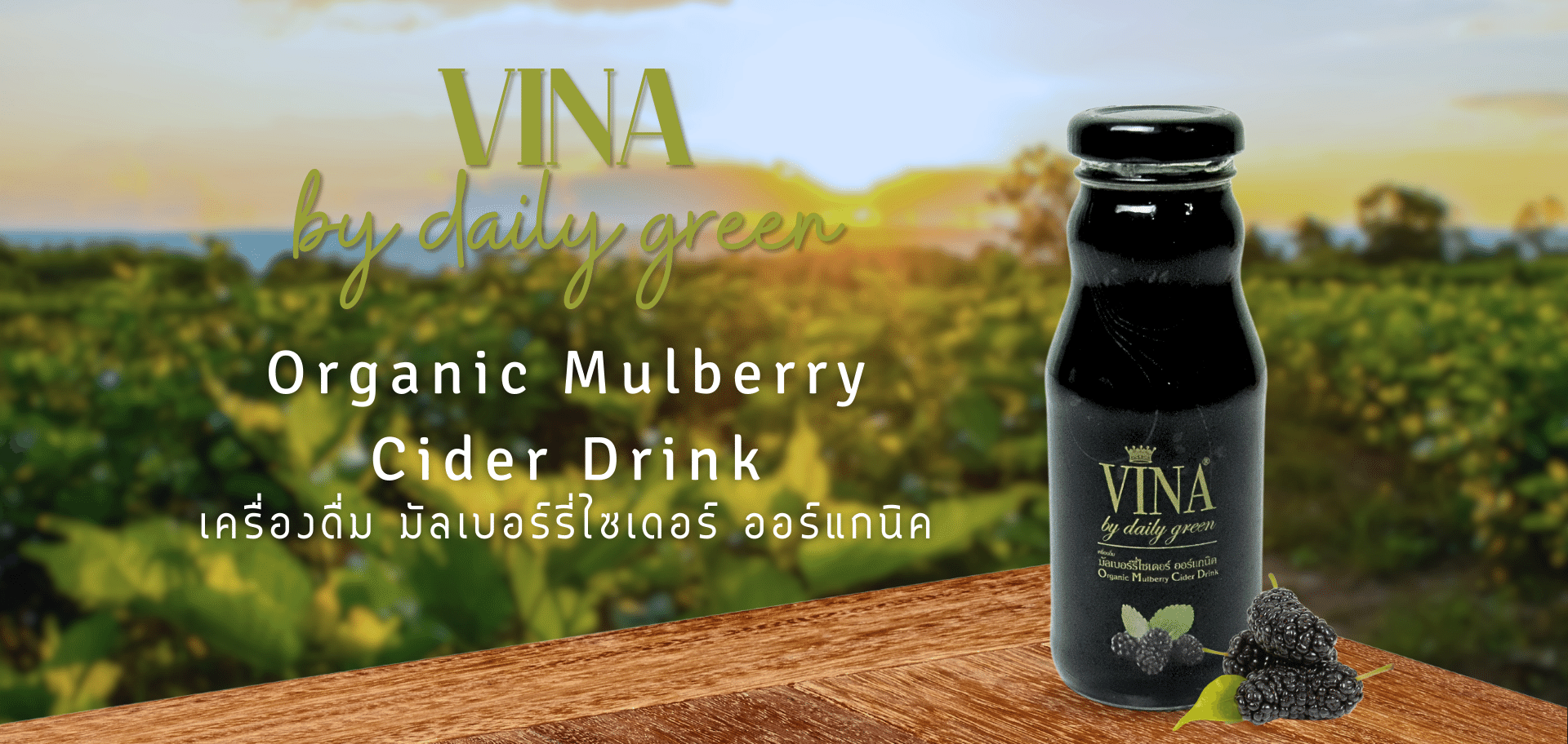 Coverpage Vina mulberry cider